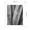 Abstract Agave I by Elizabeth Urquhart Wood Framed Wall Art Print